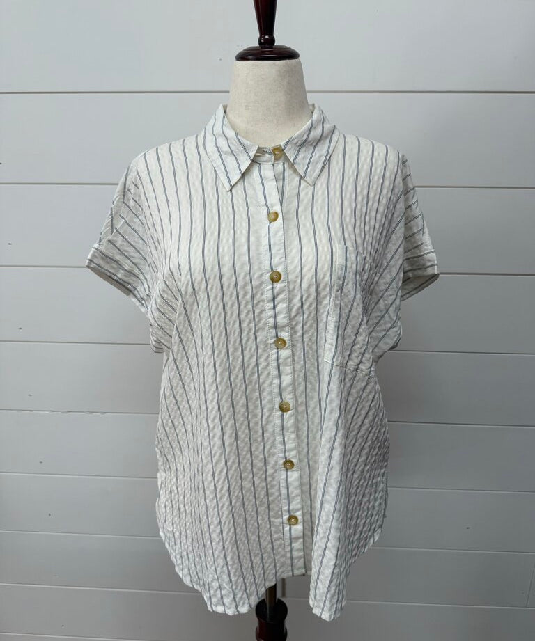 Stripe extended Shoulder Collared Shirt, Blu Pepper